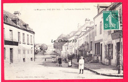 53 - PRE EN PAIL---La Rue Du Champ De Foire----animé - Pre En Pail