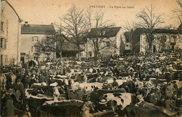 Xertigny * Place Du Village Et La Foire Au Bétail * Marché Aux Bestiaux Boeufs * Marchands - Xertigny