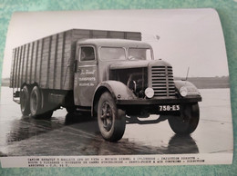 PHOTO - CAMION RENAULT ZF6 DC 1934 - Trucks