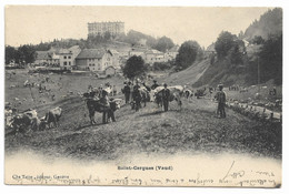 Saint - Cergues (Vaud) - Voyagée 1907 - Saint-Cergue