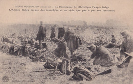 GUERRE MODERNE 1914 - RESISTANCE HEROIQUE DU PEUPLE BELGE - L'ARMEE BELGE CREUSE DES TRANCHEES ETC... ( 2 SCANS ) - Guerra 1914-18