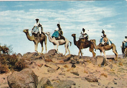 MAURITANIE  MEHARISTES (ANA) - Mauritania