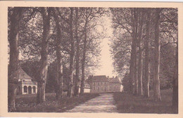 38 - BRANGUES  (Isère) - AVENUE DU CHATEAU - Brangues