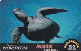 MEXICO - Sea Turtle, Worldcom/Avantel Prepaid Card 100 Pesos(plastic), Used - Turtles