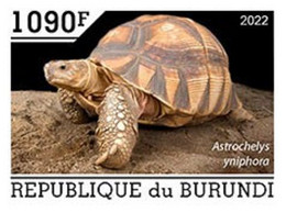 Burundi 2022, Animals, Turtle II, 1val IMPERFORATED - Ungebraucht