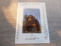 Umm Al Qiwain - Singe - Val 1 Riyal - Air Mail - Polychrome - Vignette Non Oblitéré - Année 1973 - - Chimpanzees