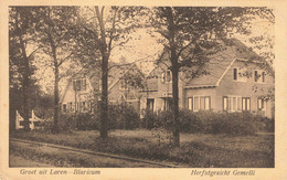 Laren Blaricum Herfstgezicht Gemelli PM1597 - Laren (NH)