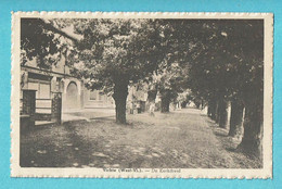 * Vichte (Anzegem - Kortrijk) * (Uitg Zulma Rogé Patisserie) De Kerkdreef, Drève De L'église, Old, Rare - Anzegem