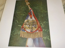 PHOTO LA FOURRAGERE  ROUGE LEGION  ETRANGERE 1918 - Drapeaux