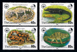 Gambia 1981 MiNr. 430 - 433 WWF Reptilies Abuko Nature Reserve (IV)  4v MNH **  140,00 € - Gambie (1965-...)