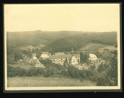 Orig. Foto Um 1925 Weingut & Kloster Eberbach Im Rheingau, Ortspartie, Nähe Eltville Hessen - Eltville