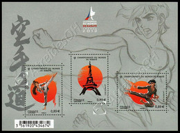 Francia / France 2012: Foglietto Campionati Mondiali Di Karate A Parigi / Karate World Championship In Paris S/S** - Non Classés