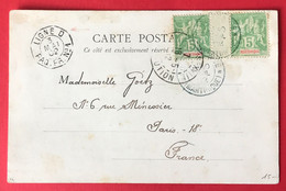France Poste Maritime - Martinique N°44 (x2) Cachet Bleu Fort De France + TAD Ligne D PAQ.FR.N°1 - 3.5.1902 - (A241) - Maritieme Post