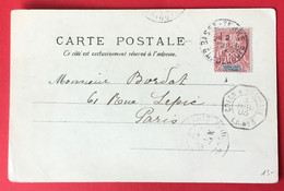 Gadeloupe N°41 Sur CPA (Basse-Terre) - TAD COLON A BORDEAUX L.D.N°3 - 3.7.1903 - (A246) - Storia Postale