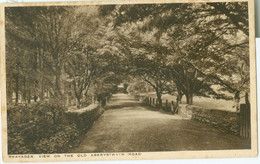 Rhayader 1934; View On The Old Aberystwyth Road - Not Circulated. (Jones - Rhayader) - Radnorshire