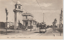 YB / TUNISIE. TUNIS. L'Avenue De Paris (Tramway N° 91 ) - Tunisie