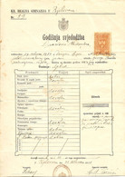 FISCAUX SERBIE Yougoslavie   Timbre 5 K Bistre Sur Document Du31 Janvier 1925 - Serbia