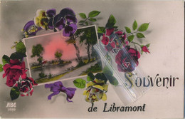 Libramont :  Souvenir  ( Ecrit Avec Timbre ) - Libramont-Chevigny