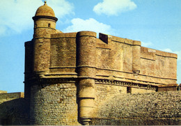 Salses - Château Fort - Le Donjon - Salses