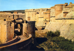Salses - Château Fort - Défenses De L'Entrée - Salses