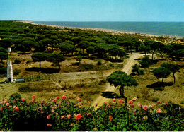 HUELVA - Vista Parcial De Mazagón - Huelva