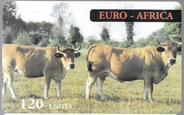 CARTE-PREPAYEE-1997/EURO-AFRICA-120U-VACHES-Gratté-PlasticFin Glacé-V°Autocollant N° Téléphone Acces-TBE/RARE - Cows