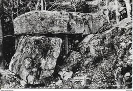 CHASSEPIERRE ..-- AZY ..-- DOLMEN . Près De LAICHE , FLORENVILLE . - Florenville