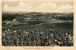 Beaune * Vendanges En Bourgognes " AUX CRAS " * Aux Cras Vin Vendangeurs Vignes Vignoble - Beaune