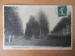 Montereau-Fault-Yonne - Promenade Des Noues - Avenues D'Houël Et Des Soupirs - CPA Circulée En 1909 - Montereau