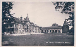 Céligny GE, Château De Bossey (32) - Céligny