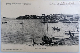 C. P. A. : SAINT-PIERRE Et MIQUELON : I'Ile Aux Chiens, Animé, Timbre En 1919 - Saint-Pierre-et-Miquelon