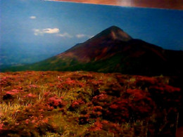 Delcampe - JAPAN JAPON-MIYAMAKIRISHIMA AZALEA MT TAKACHIHO N1980  IN4984 - Tokyo