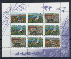 RUSSIA  1992 - FAUNA UCCELLI - ANATRE - FOGLIETTO -  MNH/** - Neufs