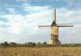 MOULIN A VENT + Carte Postale Neuve : STEENVOORDE - C19 - Noordmeulen - ARAM Nord Pas-de-Calais - Steenvoorde