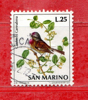 SAN MARINO ° 1972 - Fauna Avicola. UCCELLI - BIRDS. Lire.25.Unif. 861 . Usati - Used Stamps