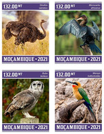Mozambico 2021, Animals, Birds, Owl, Ostrich, 4val IMPERFORATED - Straussen- Und Laufvögel