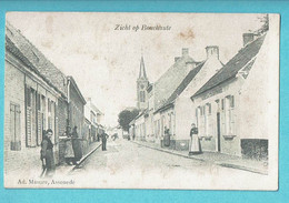 * Boekhoute - Bouchaute (Assenede - Oost Vlaanderen) * (Ad. Masure) Zicht Op Bouchaute, Zeldzaam, Animée, TOP, Rare - Assenede