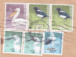 Hong Kong 2006, Gestempeld USED, Birds - Usados