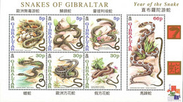 Gibraltar 2001 Year Of The Snake  Vipère, Montpelier, Viper, Fer-à-Cheval (Yvert Bf 44, SG Gibbons MS 967) - Serpents