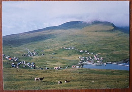Faroe Skalavik Sandoy - Isole Faroer