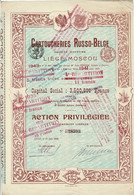 Titre De 1899 - Cartoucherie Russo-Belge - Société Anonyme - Liège-Moscou - N° 10820 - Rusland