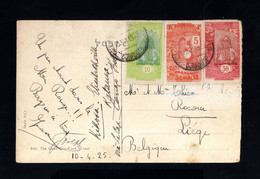 769-COTE FRANÇAISE Des SOMALIS-OLD POSTCARD DJIBOUTI To LIEGE (belgium) 1925.FRENCH Colonies.POSTKARTE.Carte Postale. - Covers & Documents