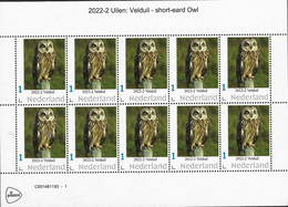 Nederland  2022-2   Uilen - Velduil   Long-eared Owl  Sheetlet     Postfris/mnh/neuf - Ongebruikt