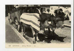 CPRepro: BAYONNE - ATTELAGE BEARNAIS - Attelages