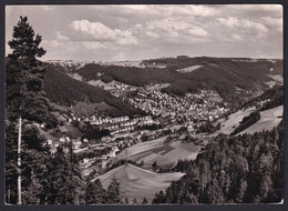 GERMANY ,  Schramberg  , OLD POSTCARD - Schramberg