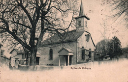 GENEVE / EGLISE DE COLOGNY - Cologny