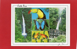 COSTA RICA--Carretera A Sarapiqui--multi-vues--voir 2 Scans - Costa Rica