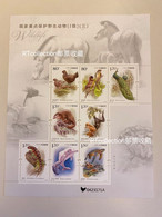 China 2021 Sheelet National Key Protected Wild Animals Birds Peacocks Monkeys Gibbon Dolphins Lizard Stamps MNH 2021-28 - Singes