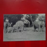 ELEPHANTS A KADOGUSTOTA CEYLAN - Sri Lanka (Ceylon)