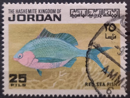 JORDANIA 1974 Red Sea Fish. USADO - USED. - Jordania